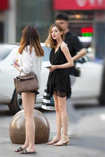 女巫的猫全部小说