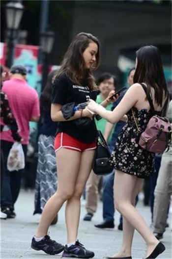 猫咪软件分享二维码