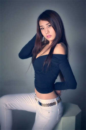 女巫的猫全部小说