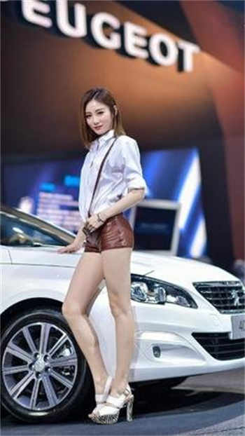 诸葛大力整本免费