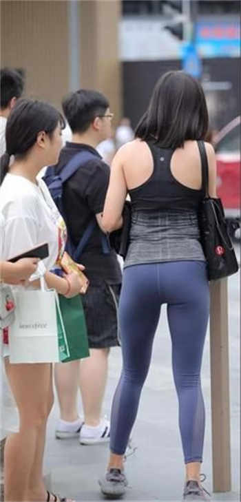 磁力狐引擎