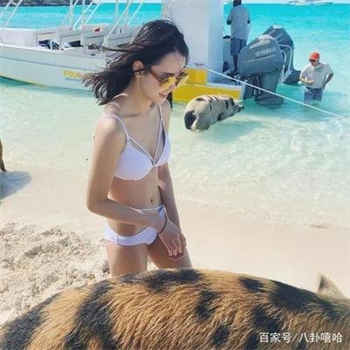 影视林妹妹官网首页