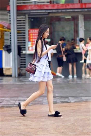 李小山整本免费