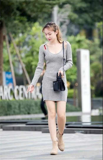 禽兽日记小说